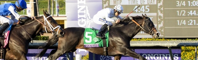 Breeders' Cup Mile Odds: Preview And Future Bets