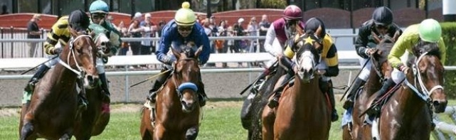 Breeders' Cup Mile Picks 2017: Mile Entries And Odds