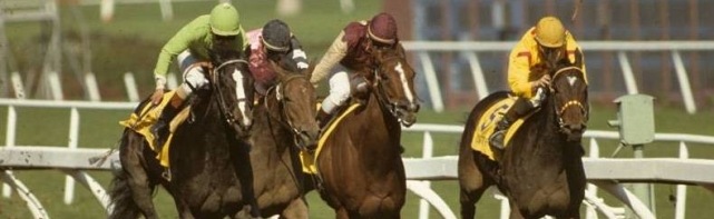 Breeders' Cup Qualifier: Stephen Foster Handicap Picks