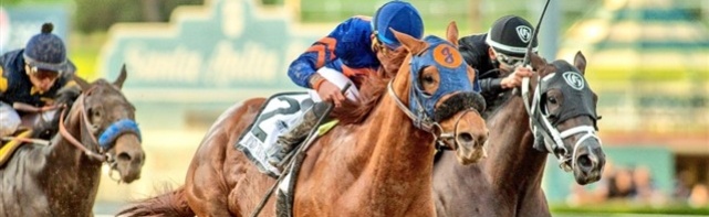 Breeders' Cup Sprint Picks 2017