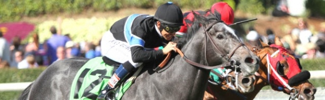 Breeders' Cup Turf Sprint Odds: Preview And Future Bets