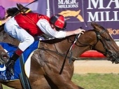 Breeders' Cup Sprint 2018 Odds